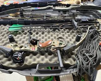 Another compound bow and case