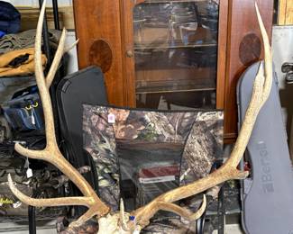 Giant antlers!