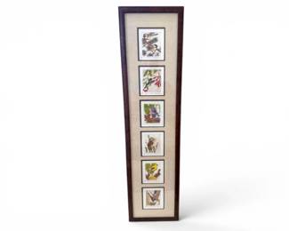 98 JohnFurchesFramedLimitedEditionBirdPrintsCollection6Panels