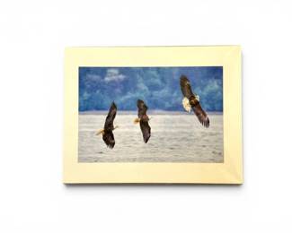168 BonnieBlockBaldEagleWildlifePhotoPrintSigned