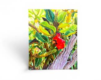 94 ColorfulTropicalBirdsCanvasPrintSignedAnnaCardinalScene