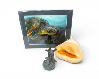 160 SeaTurtleCoastalDecorCollectionwConchShellBronzeSculpture