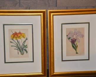 Two of the 4 Antique Paxton Botanical Framed Prints Available