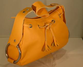 Side View of the Hogan Handbag with Silver Detail