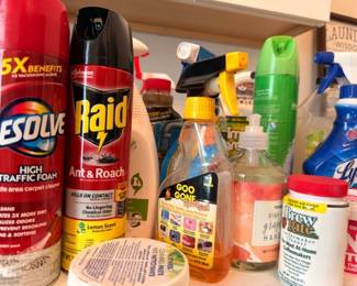 Household cleaning and pest control products