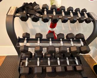 Hex dumbbell set with weight rack