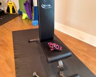 Adjustable weight bench with dumbbells