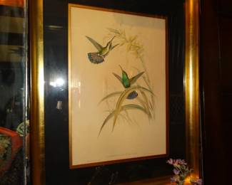 The Second Great J. Gould Hummingbird Print
