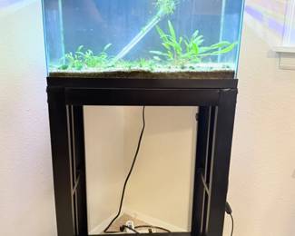 65 10GallonFishTankComeswGuppyFishCherryShrimp