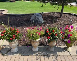 Pots with flowers