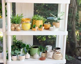 Large Selection of Houseplants and Succulents