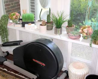 Proform Elliptical
