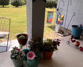 plants, pots, yard art