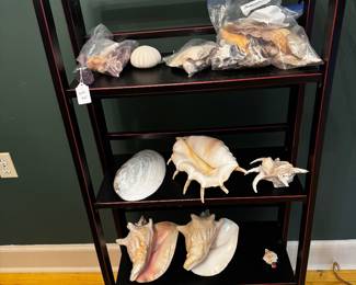 Shells, Rock Collection 