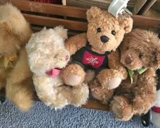 bear party