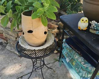 several planters and plants 