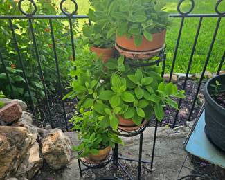potted plants