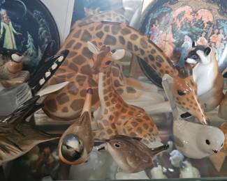 very unique giraffe