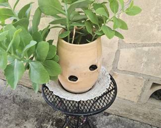 planter with potted plants