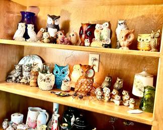 Owl lovers? Where you at?