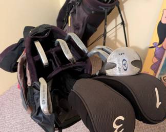 Golf Clubs Bags