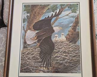 Bald Eagle Limited Edition Print by John A. Ruthven