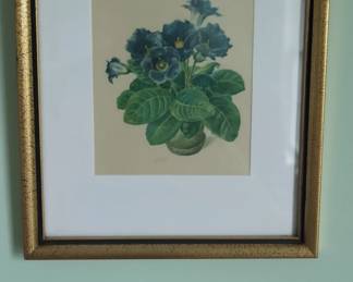 Framed Botanical Print of Dark Blue Flowers