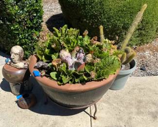 HE206Potted Plants  More