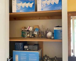 HE250Mystery Lightbulb Lot