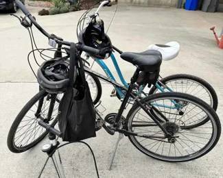 HE102Giant And Electra Bikes