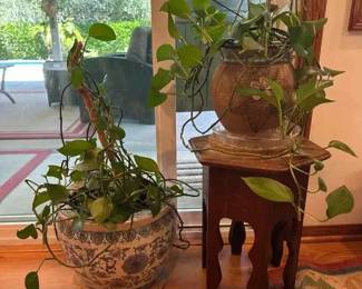 HE228Two Plants and A Plant Stand