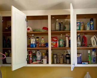 HE249Laundry Room Mystery Lot 