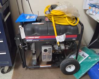 Troy Bilt generator