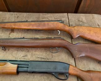 22 cal, 12 gauge
