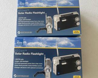 g Solar Radio Flashlight