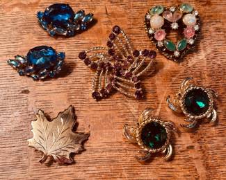 Cora ClipOn Earrings and Brooches