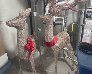 y Reindeer