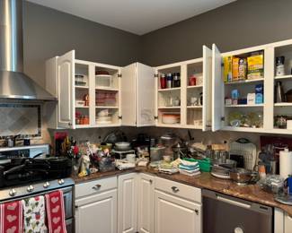 Overview of Kitchen