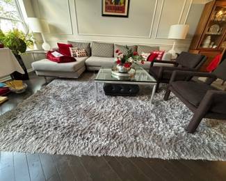 Living Room Overview