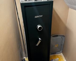 Gun Safe