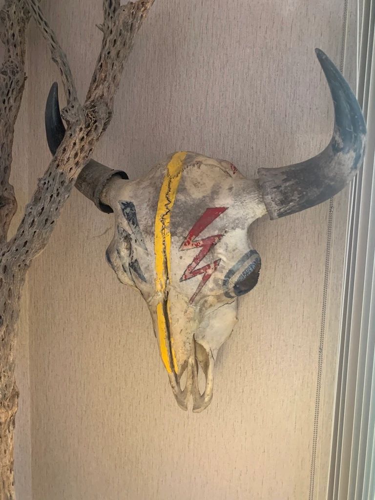 Large Painted Bison Skull