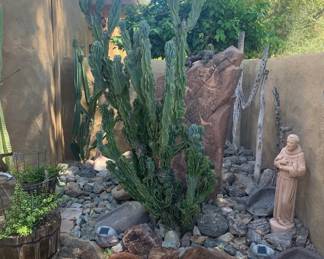 6' Tall Cactus, one of many (you dig)