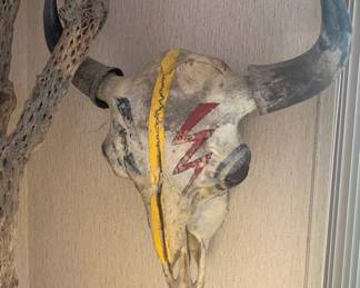 Large Painted Bison Skull
