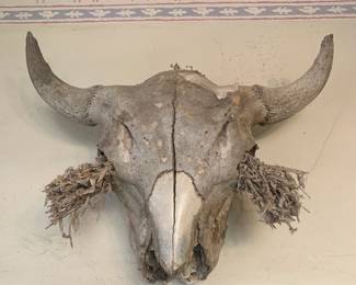 Natural Bison Skull