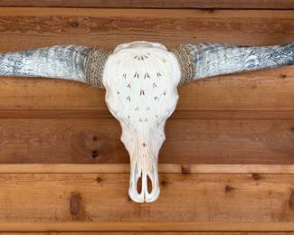 Texas Longhorn skull