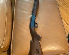 browning 22