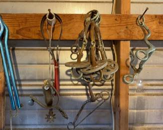 Twitch and headstall
