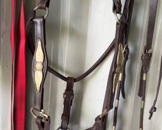 Leather headstall