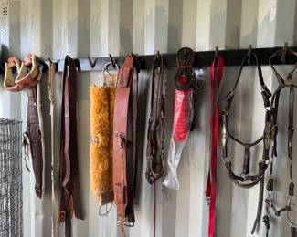 horse tack