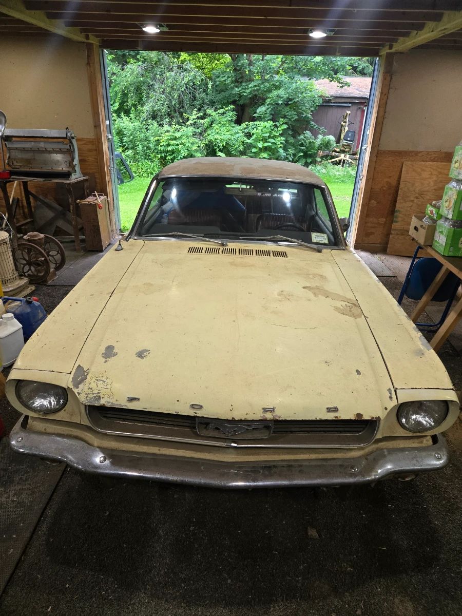 1966 Ford Mustang Coupe Project Car